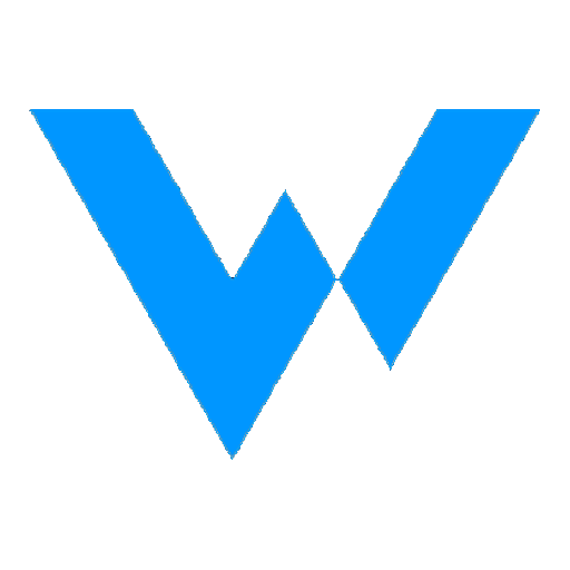 Wayex Stablecoin Visa Card logo